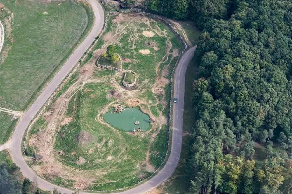 Paris to Thoiry ZooSafari